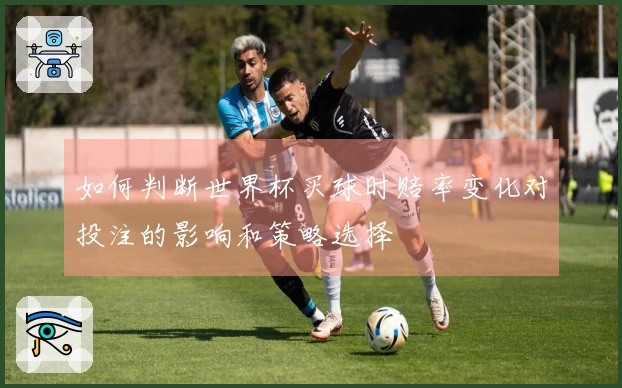 如何判断世界杯买球时赔率变化对投注的影响和策略选择