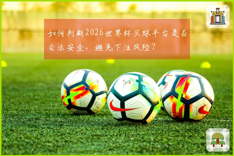 如何判断2026世界杯买球平台是否合法安全，避免下注风险？