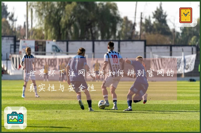 世界杯下注网站该如何辨别官网的真实性与安全性