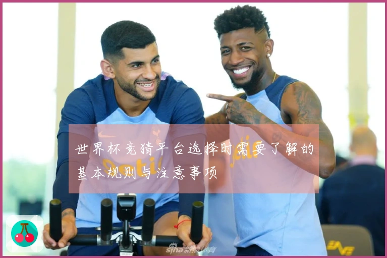 世界杯竞猜平台选择时需要了解的基本规则与注意事项