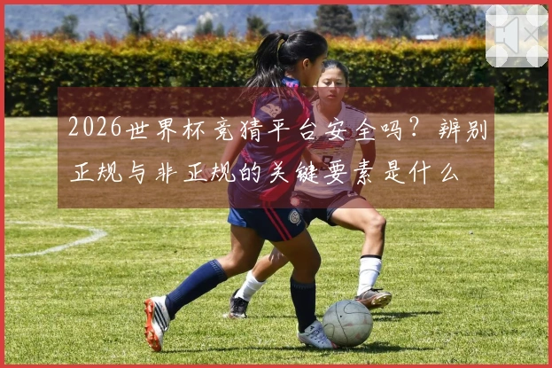 2026世界杯竞猜平台安全吗？辨别正规与非正规的关键要素是什么