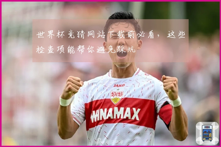 世界杯竞猜网站下载前必看，这些检查项能帮你避免踩坑