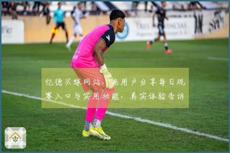 亿德买球网站，老用户分享每日观赛入口与实用功能，真实体验告诉你