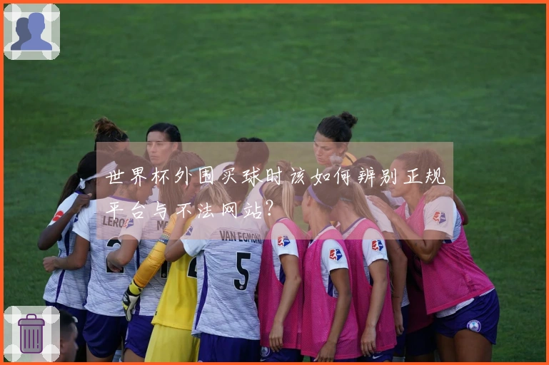 世界杯外围买球时该如何辨别正规平台与不法网站？