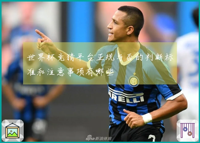 世界杯竞猜平台正规与否的判断标准和注意事项有哪些