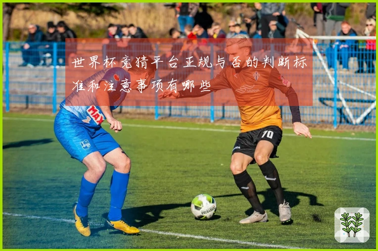 世界杯竞猜平台正规与否的判断标准和注意事项有哪些