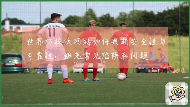世界杯投注网站如何判断安全性与可靠性，避免常见陷阱和问题