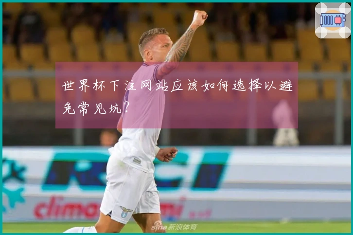 世界杯下注网站应该如何选择以避免常见坑？