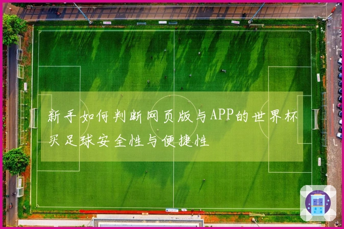 新手如何判断网页版与APP的世界杯买足球安全性与便捷性