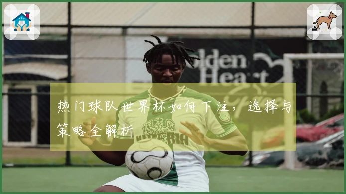 热门球队世界杯如何下注，选择与策略全解析