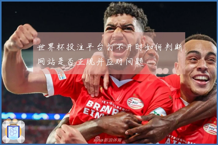 世界杯投注平台打不开时如何判断网站是否正规并应对问题