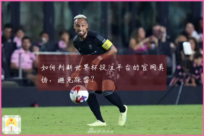 如何判断世界杯投注平台的官网真伪，避免踩雷？