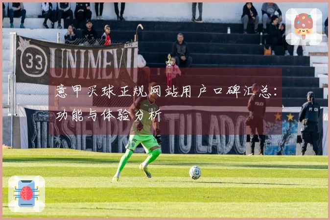 意甲买球正规网站用户口碑汇总：功能与体验分析
