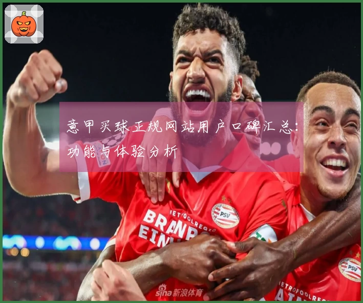 意甲买球正规网站用户口碑汇总：功能与体验分析