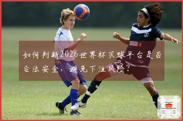 如何判断2026世界杯买球平台是否合法安全，避免下注风险？
