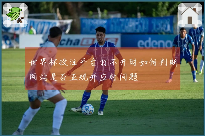 世界杯投注平台打不开时如何判断网站是否正规并应对问题